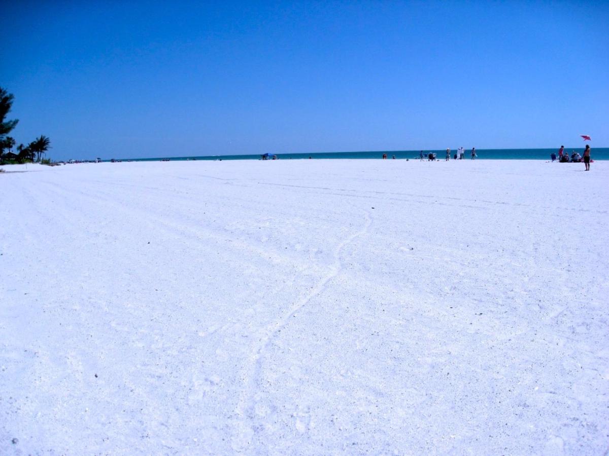 Anna Maria Island Beach Palms 8B برادنتون بيتش المظهر الخارجي الصورة