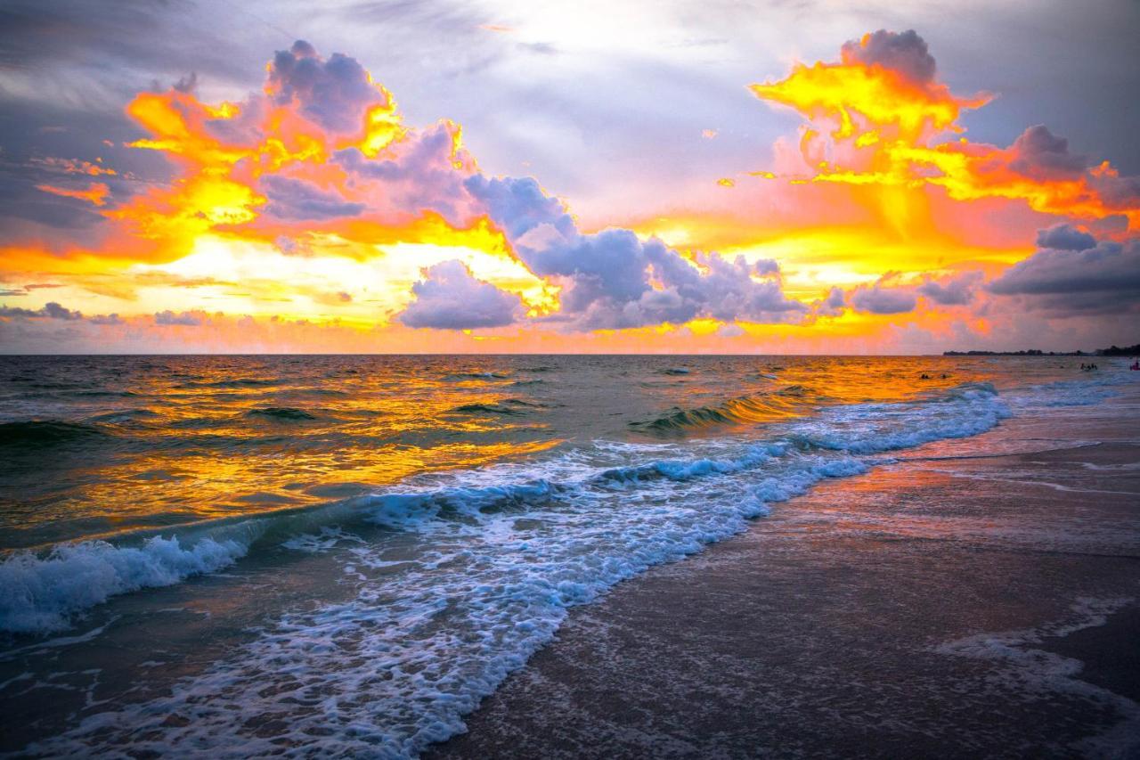 Anna Maria Island Beach Palms 8B برادنتون بيتش المظهر الخارجي الصورة