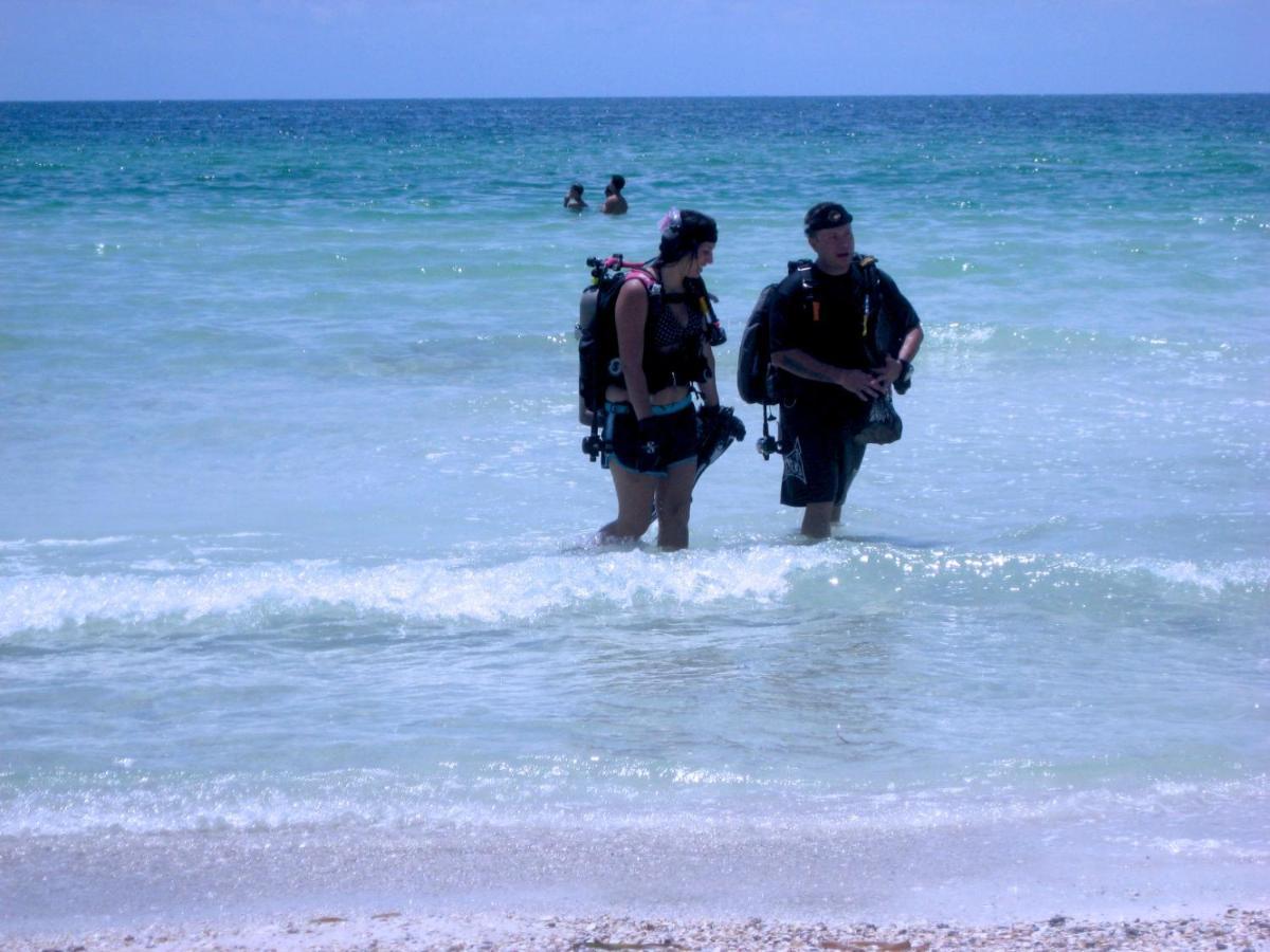 Anna Maria Island Beach Palms 8B برادنتون بيتش المظهر الخارجي الصورة