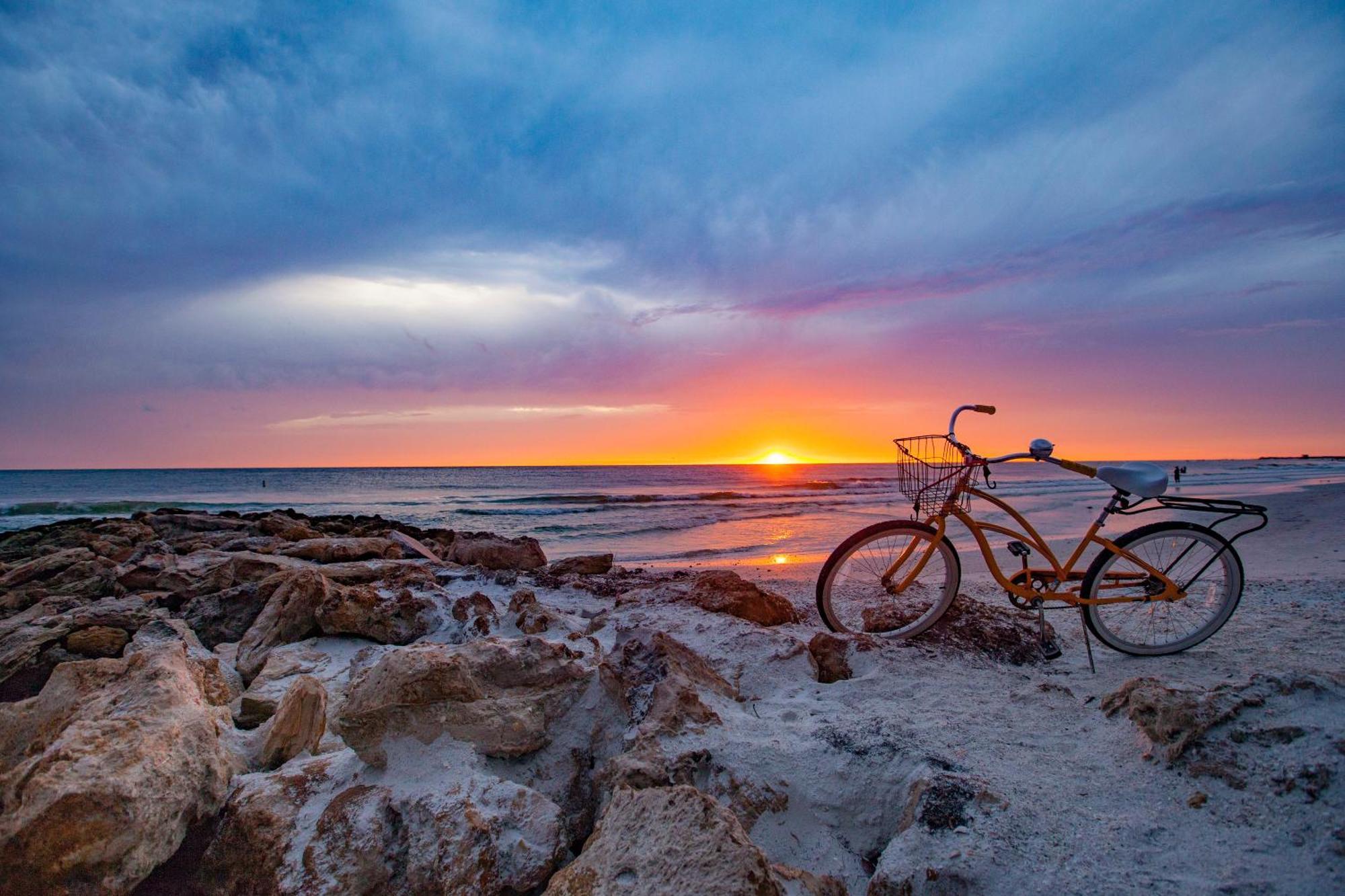 Anna Maria Island Beach Palms 8B برادنتون بيتش المظهر الخارجي الصورة